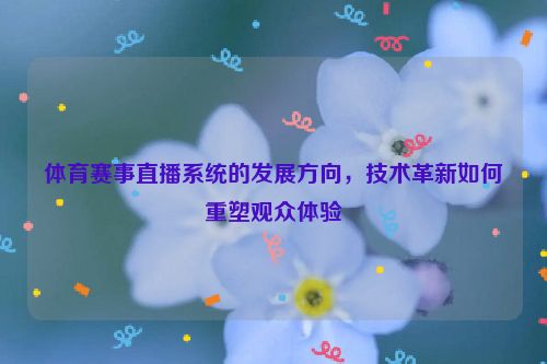 体育赛事直播系统的发展方向，技术革新如何重塑观众体验