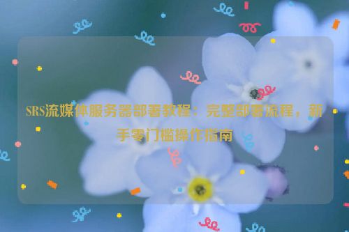 SRS流媒体服务器部署教程:完整部署流程,新手零门槛操作指南